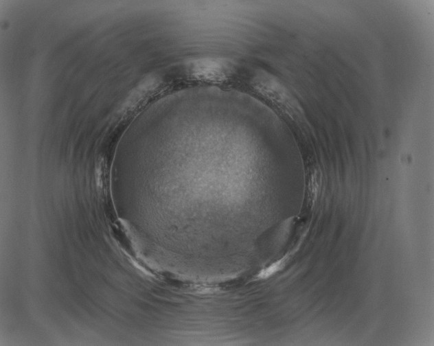 X0000084530424200703091633