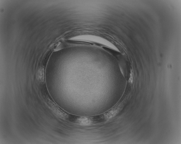 X0000084530425200703091633