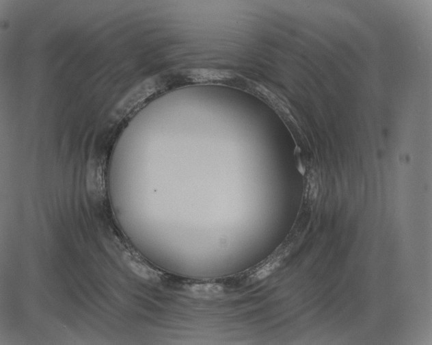 X0000084530426200703091633