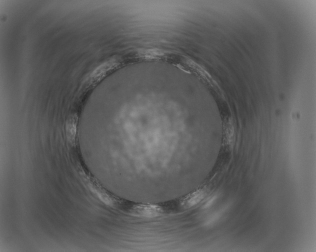 X0000084530427200703091633