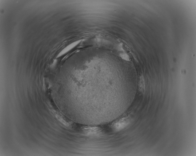 X0000084530428200703091633