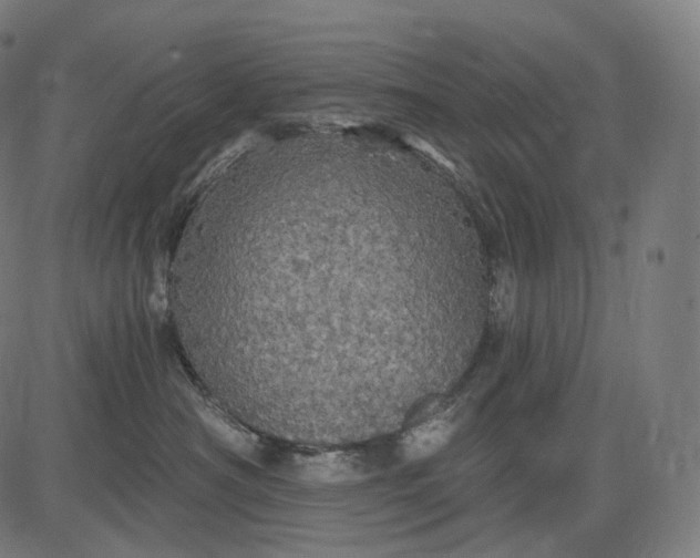 X0000084530430200703091633