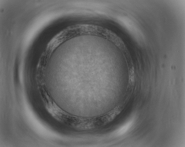 X0000084530431200703091633