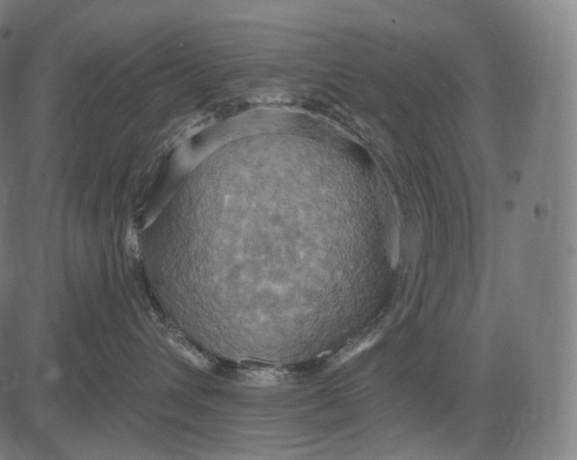 X0000084530432200703091633