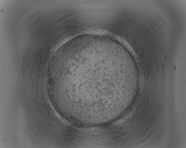 X0000084530433200703091632