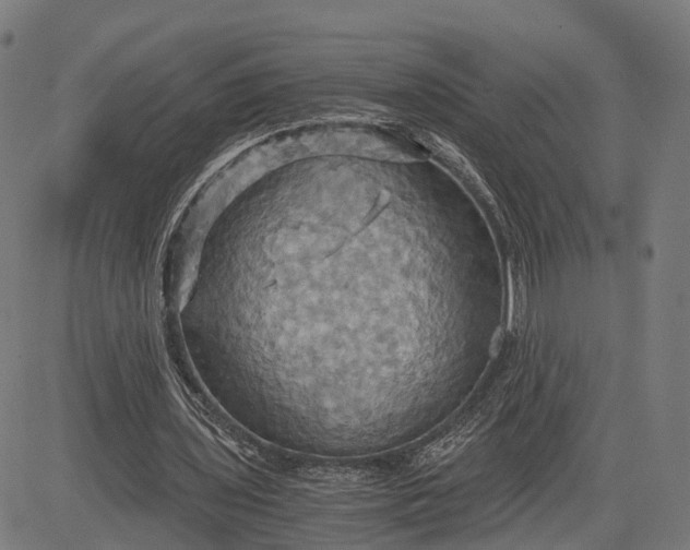 X0000084530435200703091632