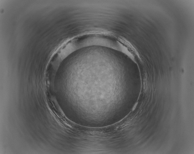 X0000084530436200703091632