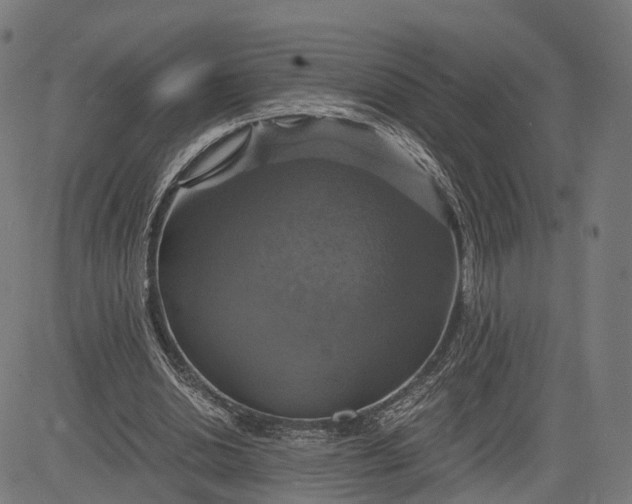 X0000084530438200703091632