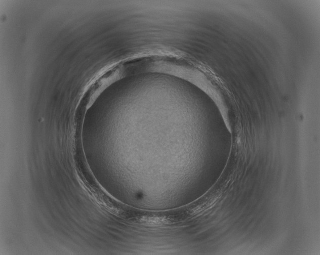 X0000084530440200703091632