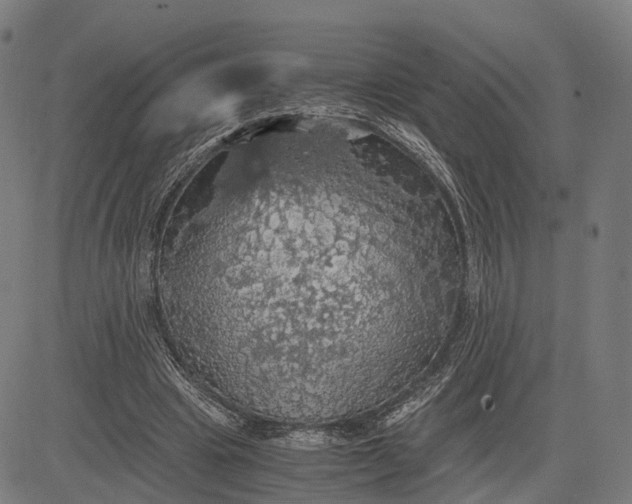 X0000084530441200703091632