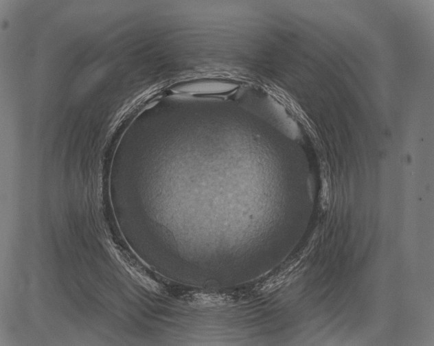 X0000084530442200703091632