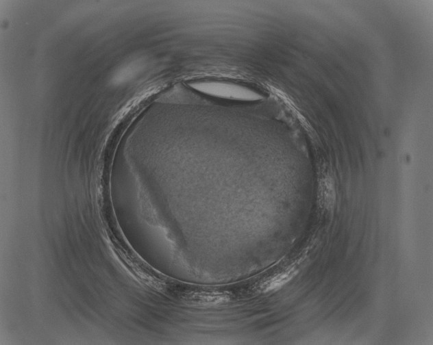 X0000084530443200703091632