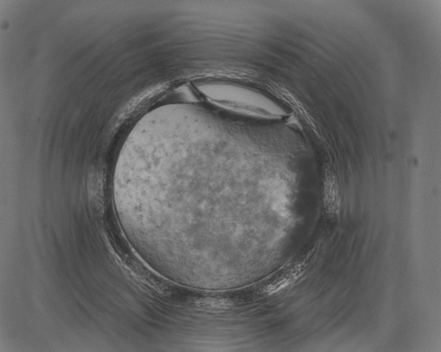 X0000084530444200703091632