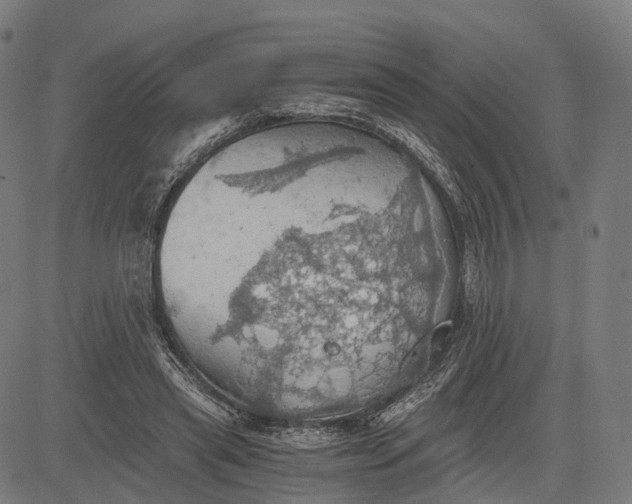 X0000084530445200703091632