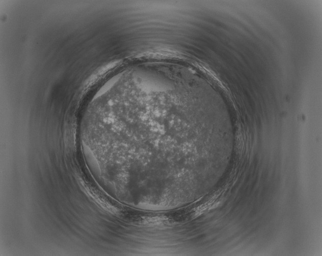 X0000084530446200703091632