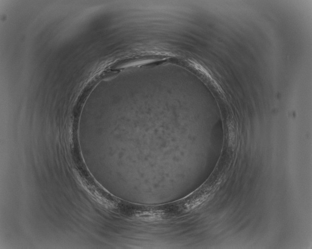 X0000084530447200703091632