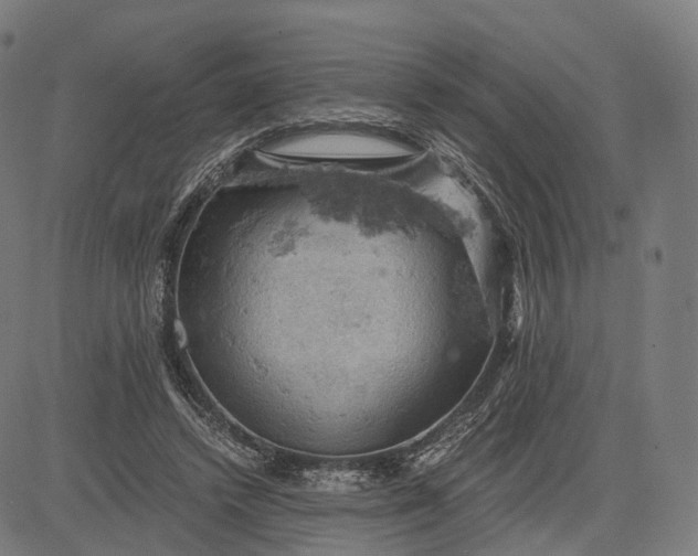 X0000084530448200703091632