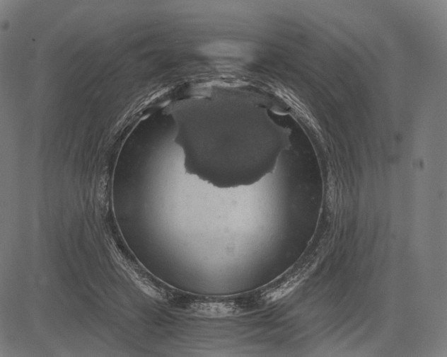 X0000084530449200703091632