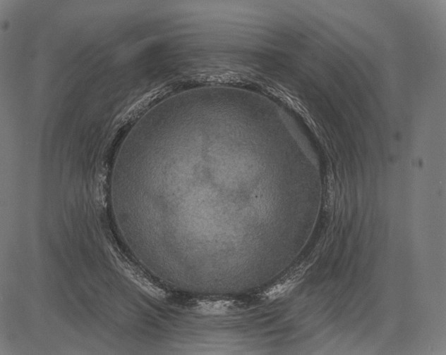 X0000084530450200703091632