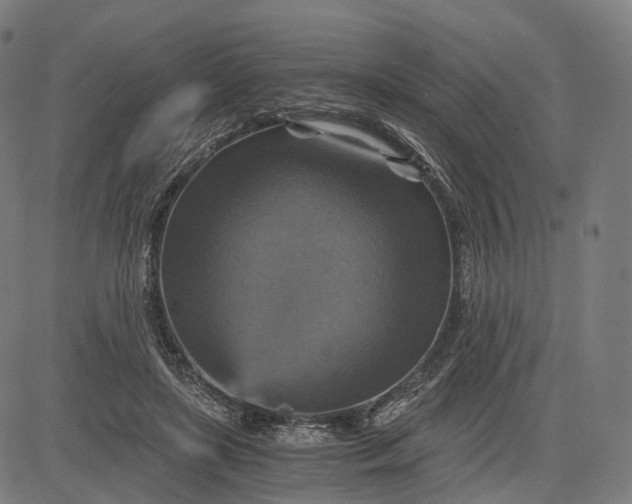 X0000084530451200703091632