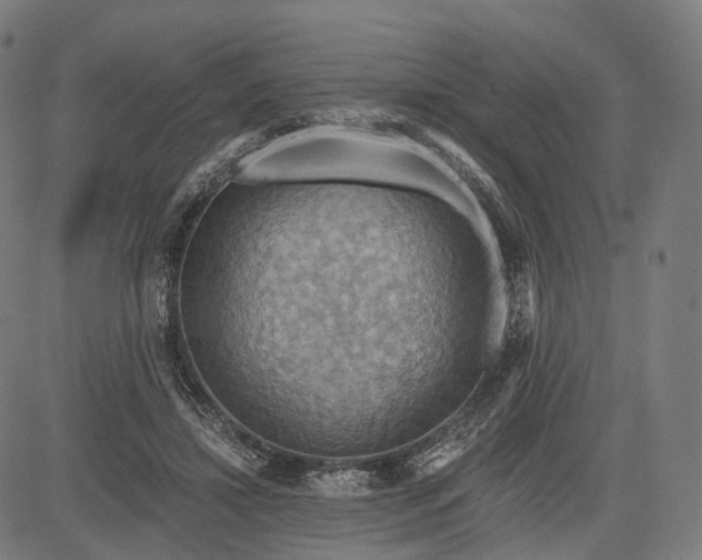 X0000084530452200703091632