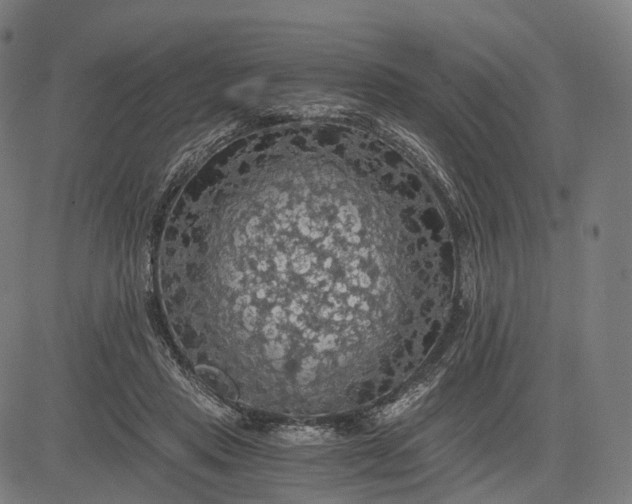 X0000084530453200703091632