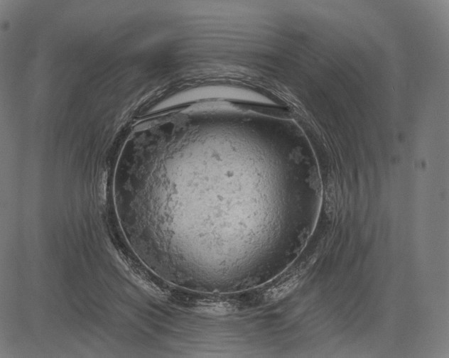 X0000084530454200703091632