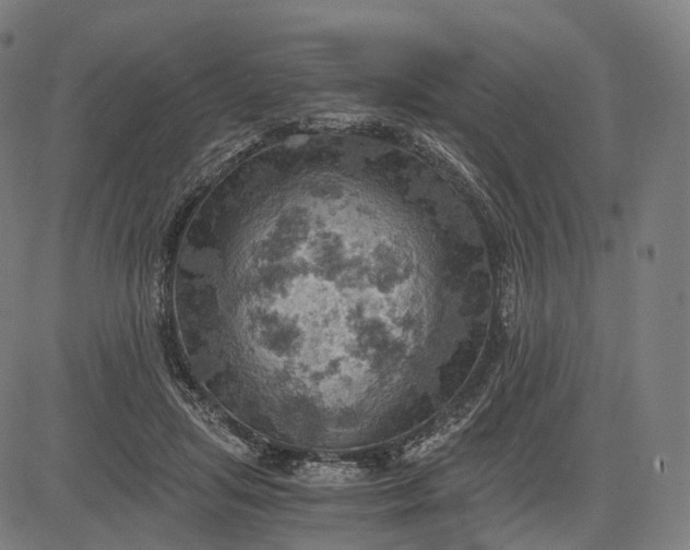 X0000084530455200703091632