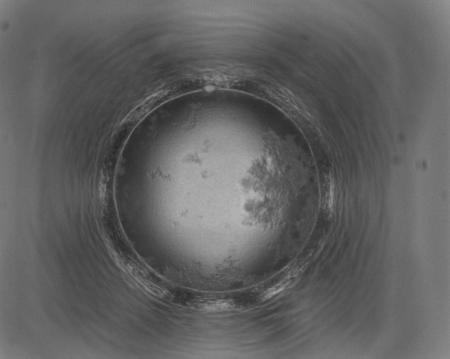 X0000084530456200703091632