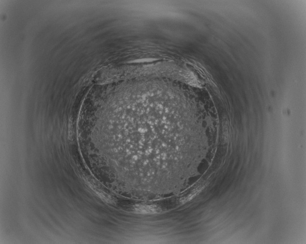 X0000084530457200703091632