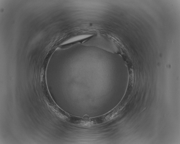 X0000084530458200703091632