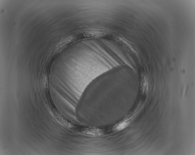 X0000084530459200703091632