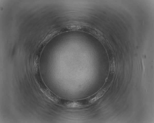 X0000084530460200703091632