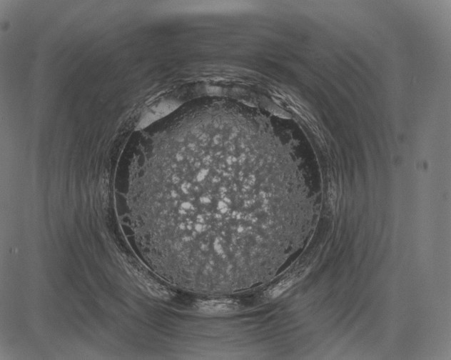 X0000084530461200703091632