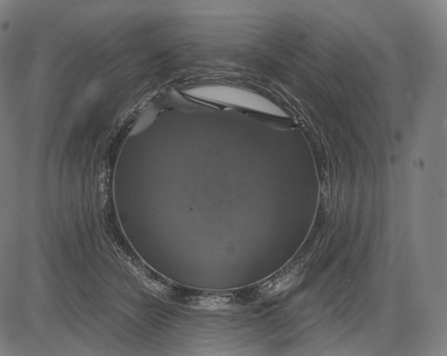 X0000084530462200703091632