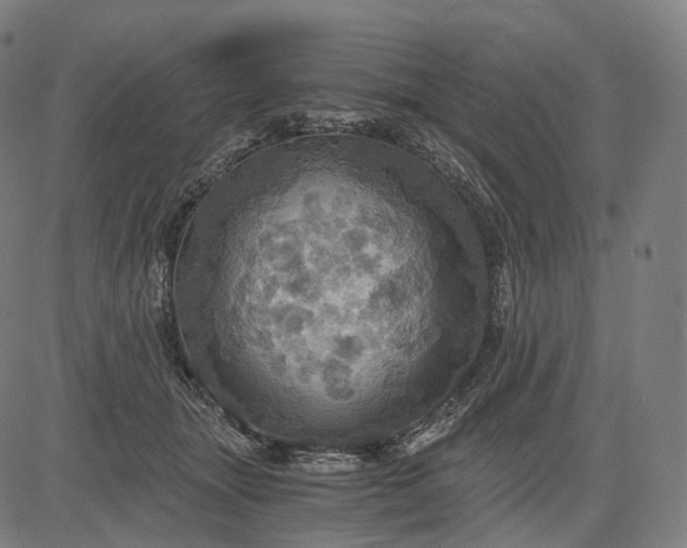 X0000084530463200703091632