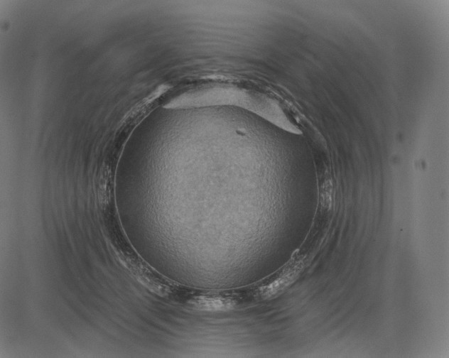 X0000084530464200703091632