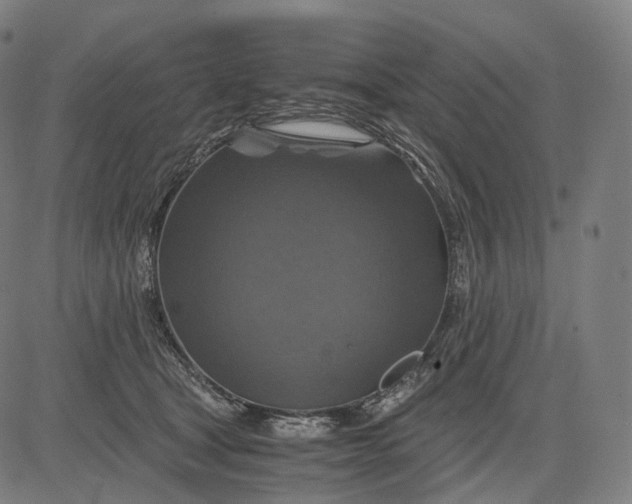 X0000084530465200703091632