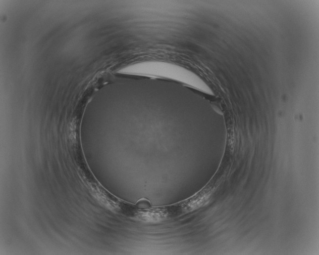 X0000084530466200703091632