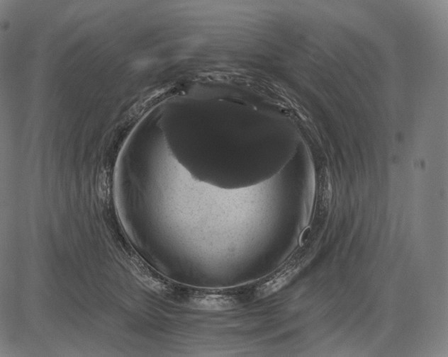 X0000084530467200703091632