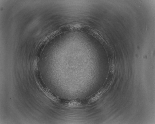 X0000084530468200703091632