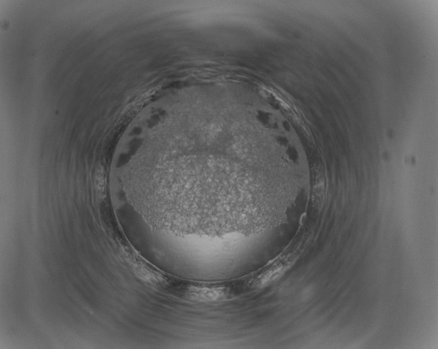 X0000084530469200703091632