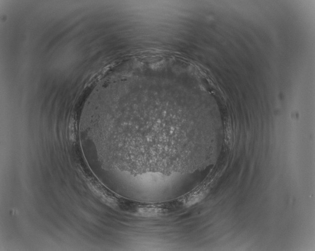 X0000084530470200703091632