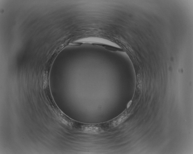 X0000084530471200703091632