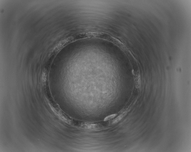 X0000084530472200703091632