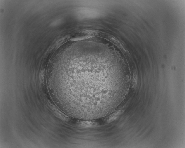 X0000084530473200703091632