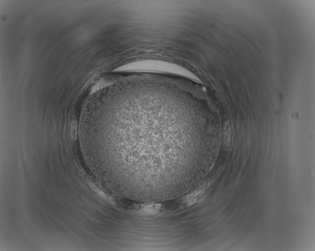 X0000084530474200703091632