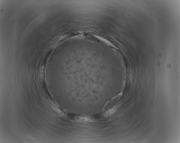 X0000084530475200703091632