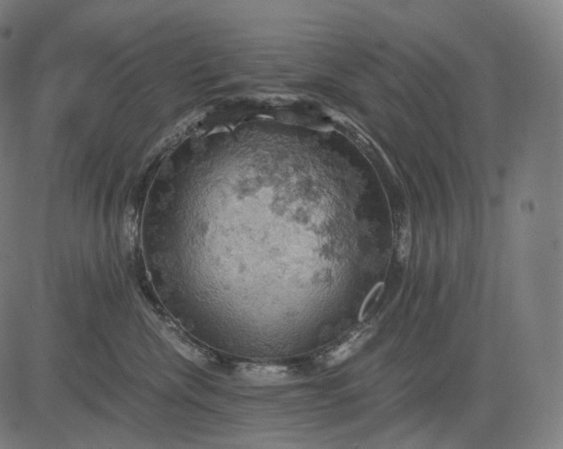 X0000084530476200703091633