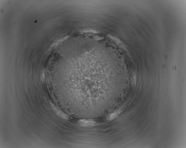 X0000084530477200703091633